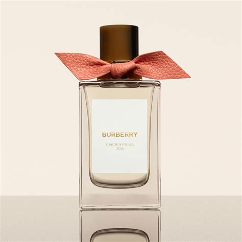 burberry perfume rose|burberry rose honeysuckle price.